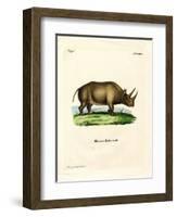 African Rhinoceros-null-Framed Giclee Print