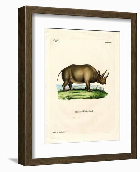 African Rhinoceros-null-Framed Giclee Print