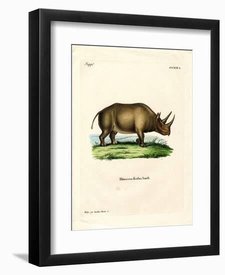 African Rhinoceros-null-Framed Giclee Print