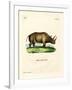 African Rhinoceros-null-Framed Giclee Print