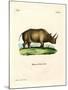 African Rhinoceros-null-Mounted Giclee Print