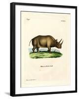 African Rhinoceros-null-Framed Giclee Print