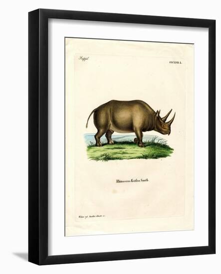 African Rhinoceros-null-Framed Giclee Print