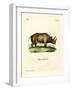 African Rhinoceros-null-Framed Giclee Print