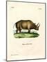 African Rhinoceros-null-Mounted Giclee Print