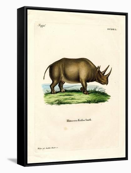 African Rhinoceros-null-Framed Stretched Canvas