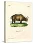 African Rhinoceros-null-Stretched Canvas