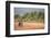 African road, Ouidah, Benin-Godong-Framed Photographic Print