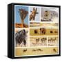 African Safari Collage-Andrushko Galyna-Framed Stretched Canvas