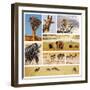 African Safari Collage-Andrushko Galyna-Framed Photographic Print