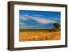 African Savanna and Rwenzori Mountains, Queen Elizabeth National Park, Uganda-DmitryP-Framed Photographic Print