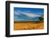 African Savanna and Rwenzori Mountains, Queen Elizabeth National Park, Uganda-DmitryP-Framed Photographic Print