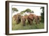 African Savanna Elephant Herd-null-Framed Premium Photographic Print