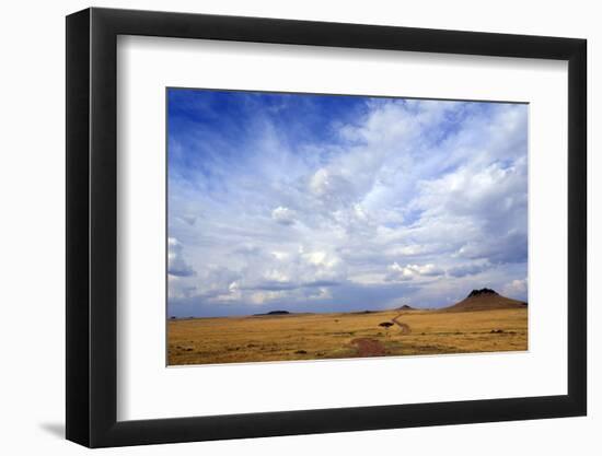 African savanna, golden plains against blue sky with clouds, Masai Mara Game Reserve, Kenya, East A-null-Framed Photographic Print