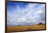 African savanna, golden plains against blue sky with clouds, Masai Mara Game Reserve, Kenya, East A-null-Framed Photographic Print