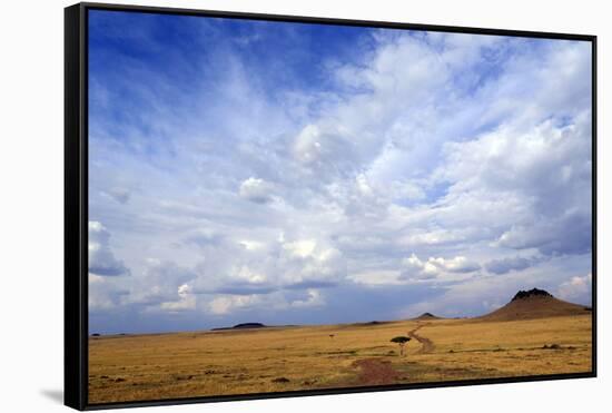 African savanna, golden plains against blue sky with clouds, Masai Mara Game Reserve, Kenya, East A-null-Framed Stretched Canvas