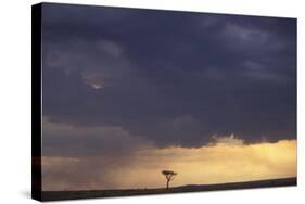 African Savannah Heavy Clouds and Moody Sky-null-Stretched Canvas