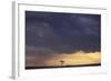 African Savannah Heavy Clouds and Moody Sky-null-Framed Photographic Print