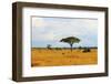 African Savannah in Kenya-czekma13-Framed Photographic Print