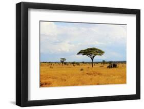 African Savannah in Kenya-czekma13-Framed Photographic Print
