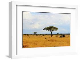 African Savannah in Kenya-czekma13-Framed Photographic Print