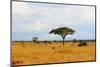 African Savannah in Kenya-czekma13-Mounted Photographic Print