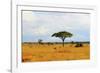 African Savannah in Kenya-czekma13-Framed Photographic Print