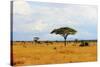 African Savannah in Kenya-czekma13-Stretched Canvas