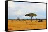 African Savannah Landscape-AndyCandy-Framed Stretched Canvas