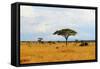 African Savannah Landscape-AndyCandy-Framed Stretched Canvas