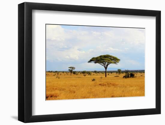 African Savannah Landscape-AndyCandy-Framed Photographic Print