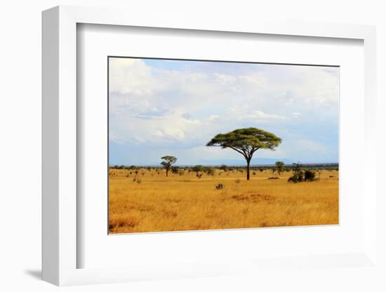 African Savannah Landscape-AndyCandy-Framed Photographic Print