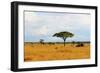 African Savannah Landscape-AndyCandy-Framed Photographic Print