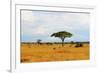 African Savannah Landscape-AndyCandy-Framed Photographic Print