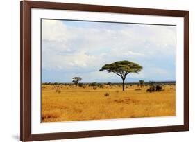 African Savannah Landscape-AndyCandy-Framed Photographic Print