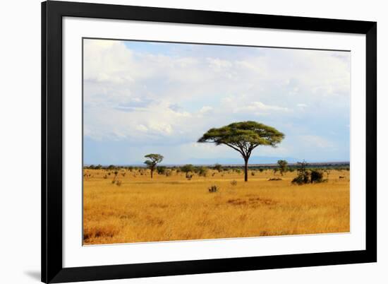 African Savannah Landscape-AndyCandy-Framed Photographic Print