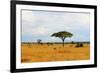 African Savannah Landscape-AndyCandy-Framed Photographic Print