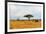 African Savannah Landscape-AndyCandy-Framed Photographic Print