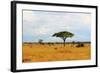 African Savannah Landscape-AndyCandy-Framed Photographic Print