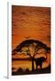 African Skies-null-Framed Poster