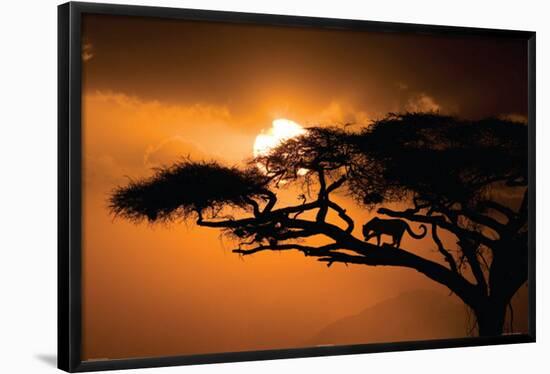 African Sky-null-Framed Poster