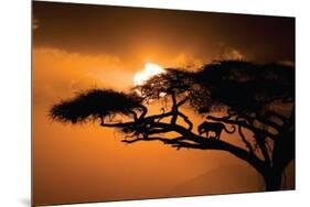 African Sky-null-Mounted Poster