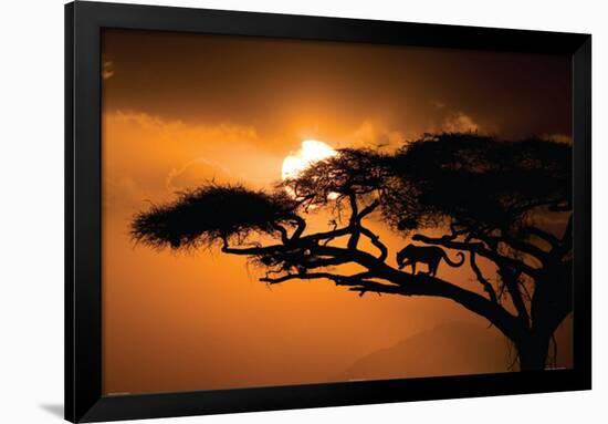 African Sky-null-Framed Poster