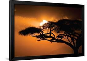 African Sky-null-Framed Poster