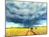 African Storm, 2016-Tilly Willis-Mounted Giclee Print