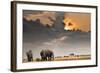 African Sunset with Elephants-Oleg Znamenskiy-Framed Photographic Print