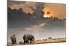 African Sunset with Elephants-Oleg Znamenskiy-Mounted Photographic Print