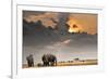African Sunset with Elephants-Oleg Znamenskiy-Framed Photographic Print