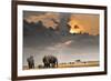 African Sunset with Elephants-Oleg Znamenskiy-Framed Photographic Print