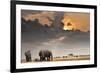 African Sunset with Elephants-Oleg Znamenskiy-Framed Photographic Print
